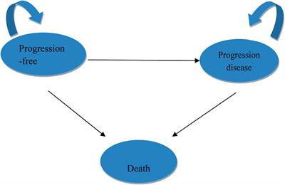 Cost-effectiveness analysis of tislelizumab plus chemotherapy versus placebo plus chemotherapy as first-line treatment for advanced gastric or gastroesophageal junction adenocarcinoma: perspectives from the United States and China